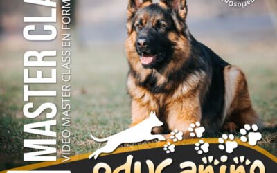 Educanino, Todo sobre adiestramiento canino