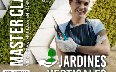 Jardines Verticales