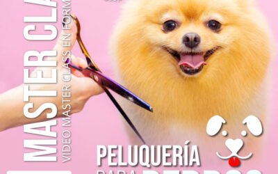 Peluqueria para Perros