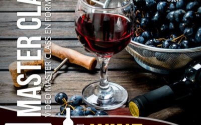 Wine Expert