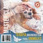 Terapia Bioenergética para Animales