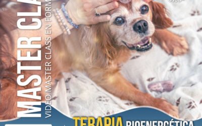 Terapia Bioenergética para Animales